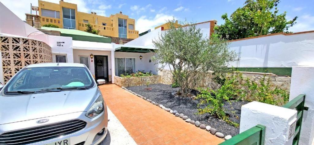 Dos Gatos Fuertaventura Villa Caleta De Fuste Kültér fotó